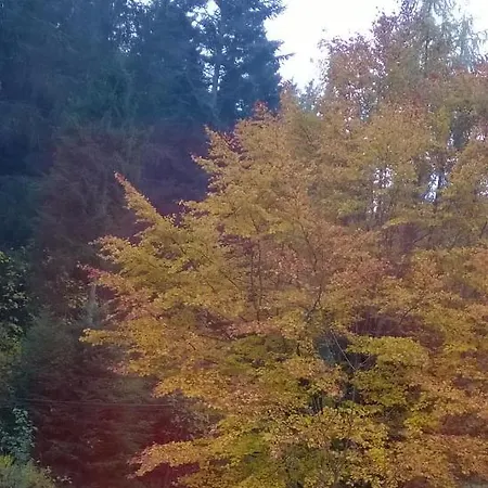 Le 48 * Gerardmer